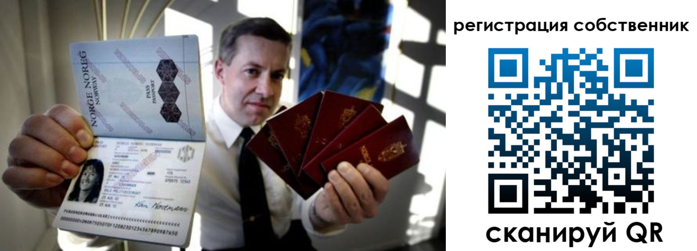 прописка поиск в Ельне