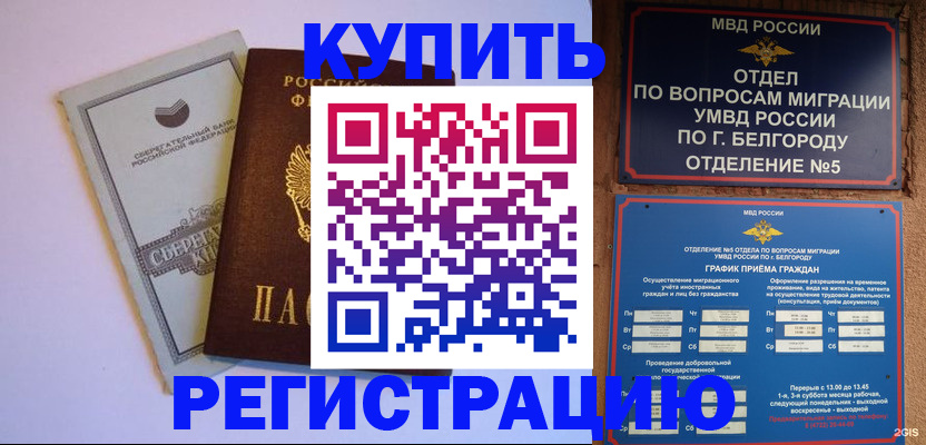 прописка гарантия в Ельне